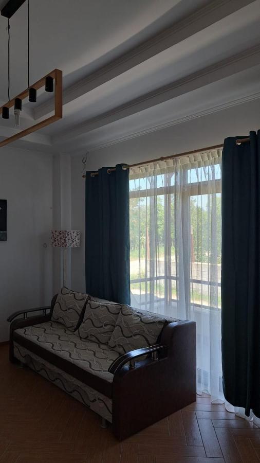 Casa Francesca Apartment Comanesti  Ngoại thất bức ảnh