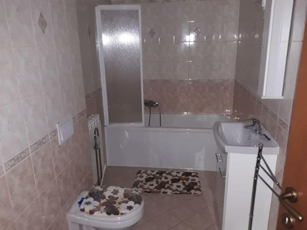 Casa Francesca Apartment Comanesti  Ngoại thất bức ảnh